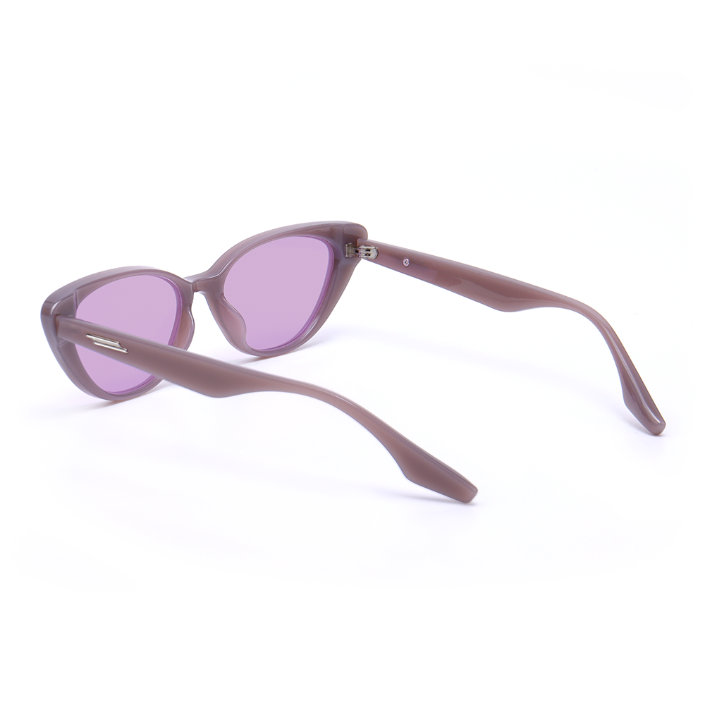 Zuleide Cat eye Purple Sunglasses