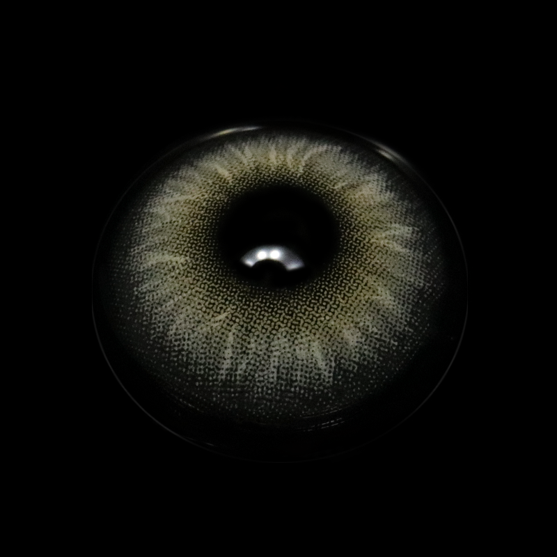 Claudina Sea Gray Colored Contact Lenses