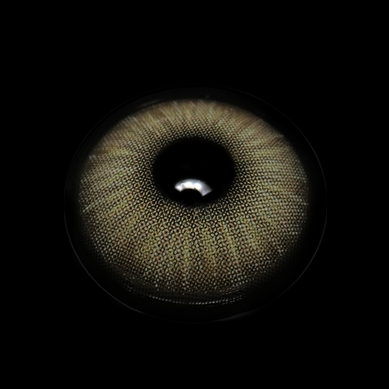 Beatriz Gray Colored Contact Lenses