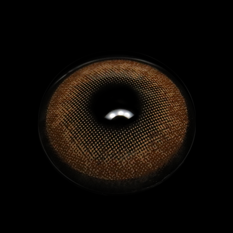 Zaniah Sepia Brown Daily (10 Pcs) Colored Contact Lenses