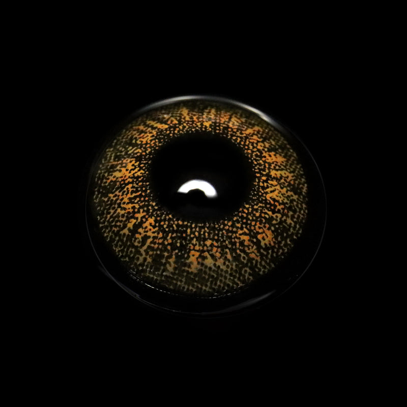 Bruna Brown Prescription Colored Contact Lenses