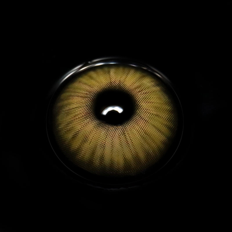 Chicago Brown Colored Contact Lenses
