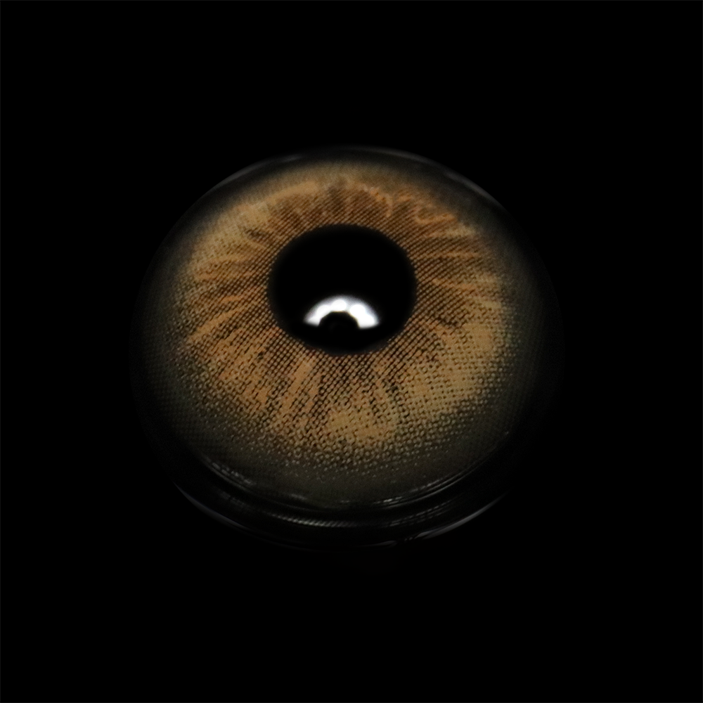 Perola Brown Colored Contact Lenses