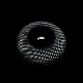 Linette Sofia Gray Colored Contact Lenses