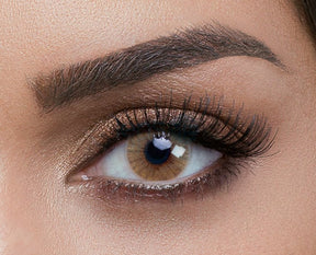 Hidrocor AVELA Brown Prescription Colored Contact Lenses