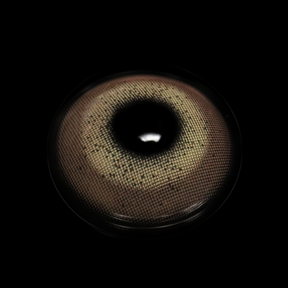Gimlet Brown Colored Contact Lenses