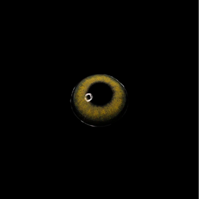 Pro Khaki Brown Colored Contact Lenses