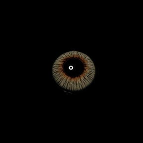 New York Angeles Gray Colored Contact Lenses