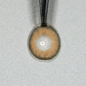 Rome Brown Colored Contact Lenses