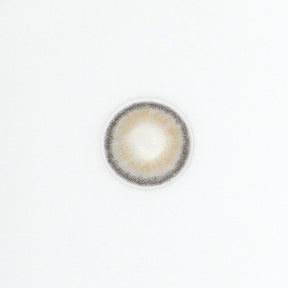 Rome Gray Colored Contact Lenses