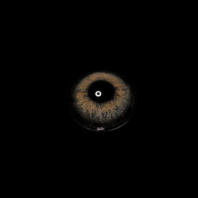 Rome Gray Colored Contact Lenses