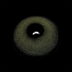 BEESWAX SKY GRAY Colored Contact Lenses