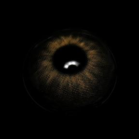 Cassia Black Colored Contact Lenses