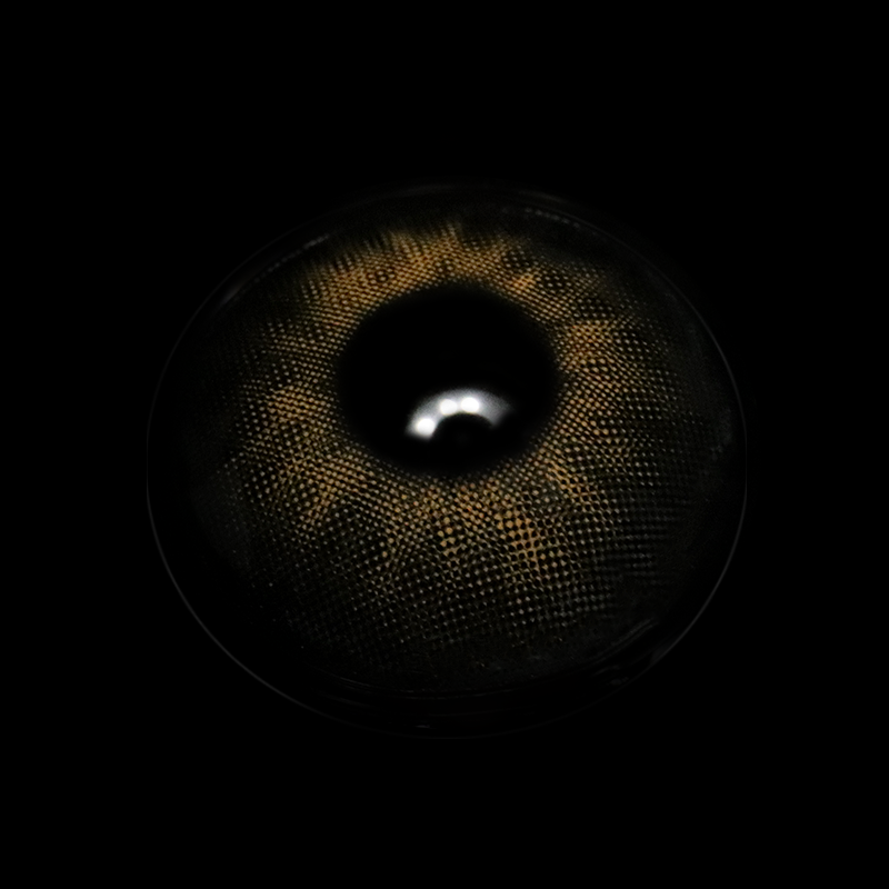 Cassia Black Colored Contact Lenses