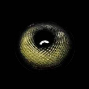 Yari Gray Prescription Colored Contact Lenses