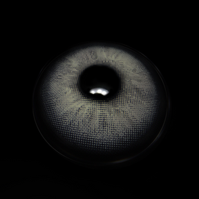 Tiana Brunei Gray Colored Contact Lenses