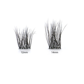 Carolina Black Lashes