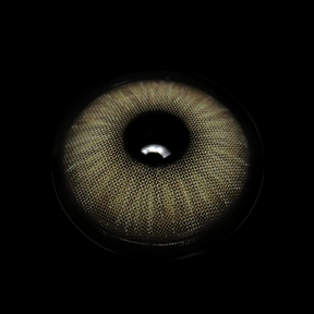 Beatriz Gray Colored Contact Lenses