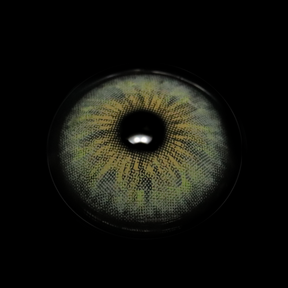 Cyrene Amber Gray Colored Contact Lenses