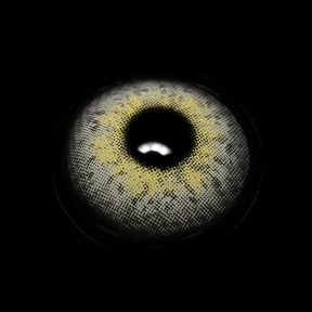 Elsa Gray Colored Contact Lenses