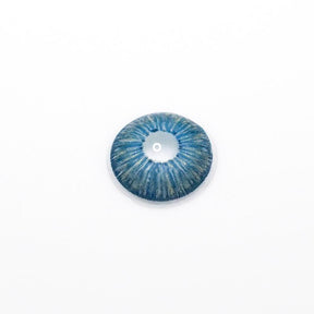 New York 2  BLUE Daily (10 Pcs) Colored Contact Lenses