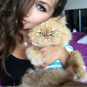 Natural Ambar Colored Contact Lenses