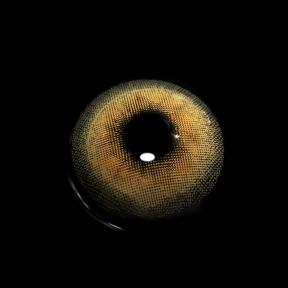 Classical Coffee Colored Contact Lenses