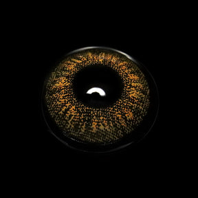 Bruna Brown Prescription Colored Contact Lenses