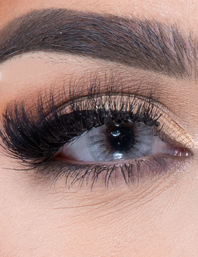 BEESWAX PONY GRAY Colored Contact Lenses