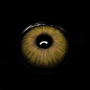 Chicago Brown Colored Contact Lenses