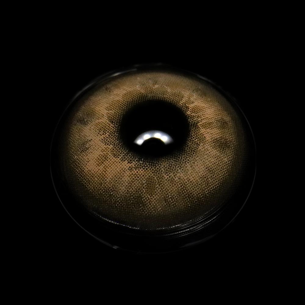 Faylinn Brown Colored Contact Lenses