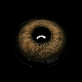 Faylinn Brown Colored Contact Lenses