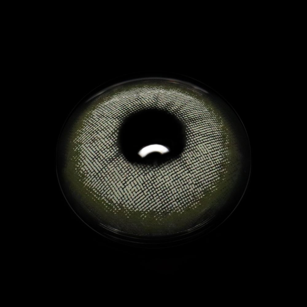 Rainbow Bassia Gray Colored Contact Lenses