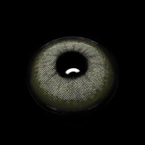 Rainbow Bassia Gray Colored Contact Lenses